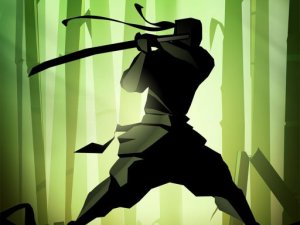 Shadow Guardian Legend Action Game