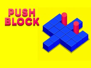 Push Block Puzzle Game
