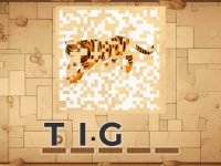 PictureCipher Puzzle Game