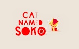 Cat named Soko: Puzzle Box Game Online