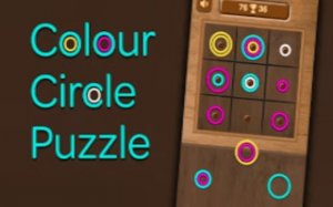 Ring Color Match Puzzle
