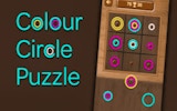 Color Ring Match Puzzle Online Game