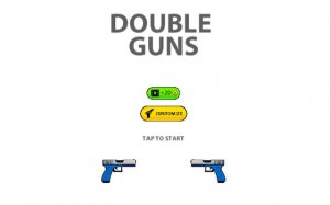 Double firearms 2D Hit - Action precision fighter Game - Ludoryx free online game