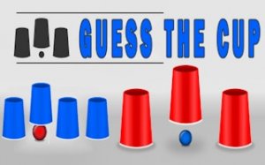 Cup Tracking Puzzle Game