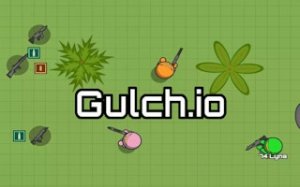 Gulch Arena Survival Challenge