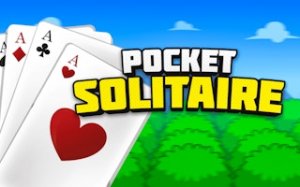 Classic Solitaire Card Puzzle