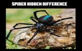 Spider Hidden Difference: Find The Differences Puzzle Game