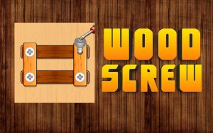 Wood Screw Puzzle Game Online - Ludoryx free online game