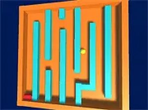 Gravity Path Puzzle